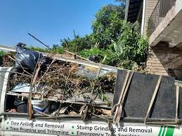 Best Residential Junk Removal  in Rogersville, AL